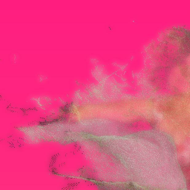 Pink Lady détail