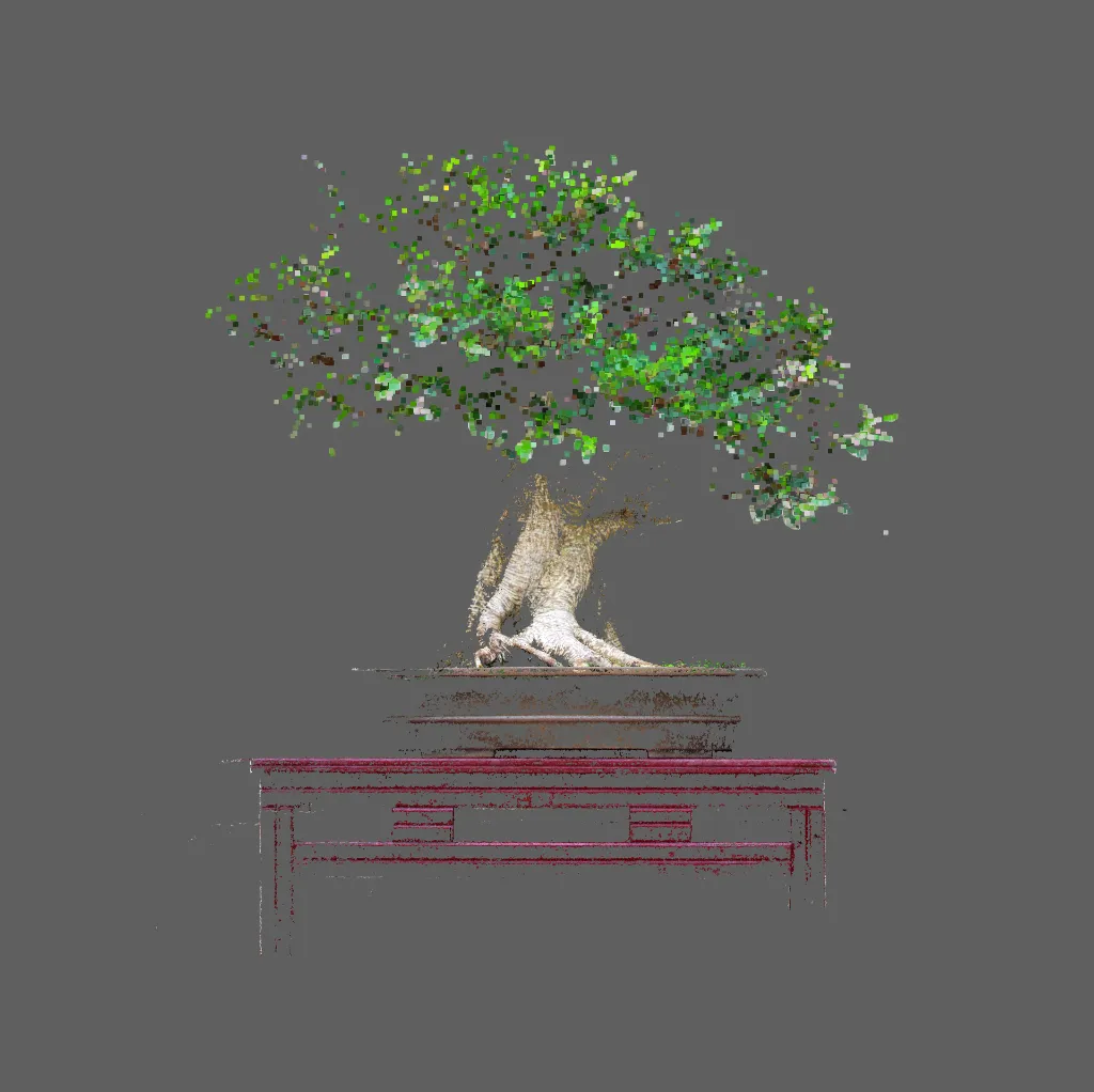 Bonzai ficus ginseng n°04.webp