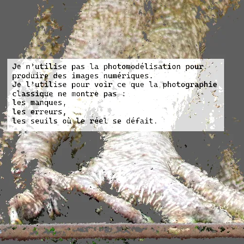 Quote Bonzai ficus ginseng n°04.webp