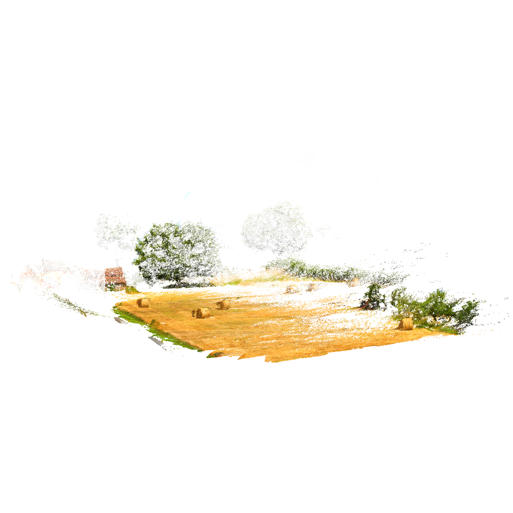 Champ de Paille – Tirage d’art signé par Guilin