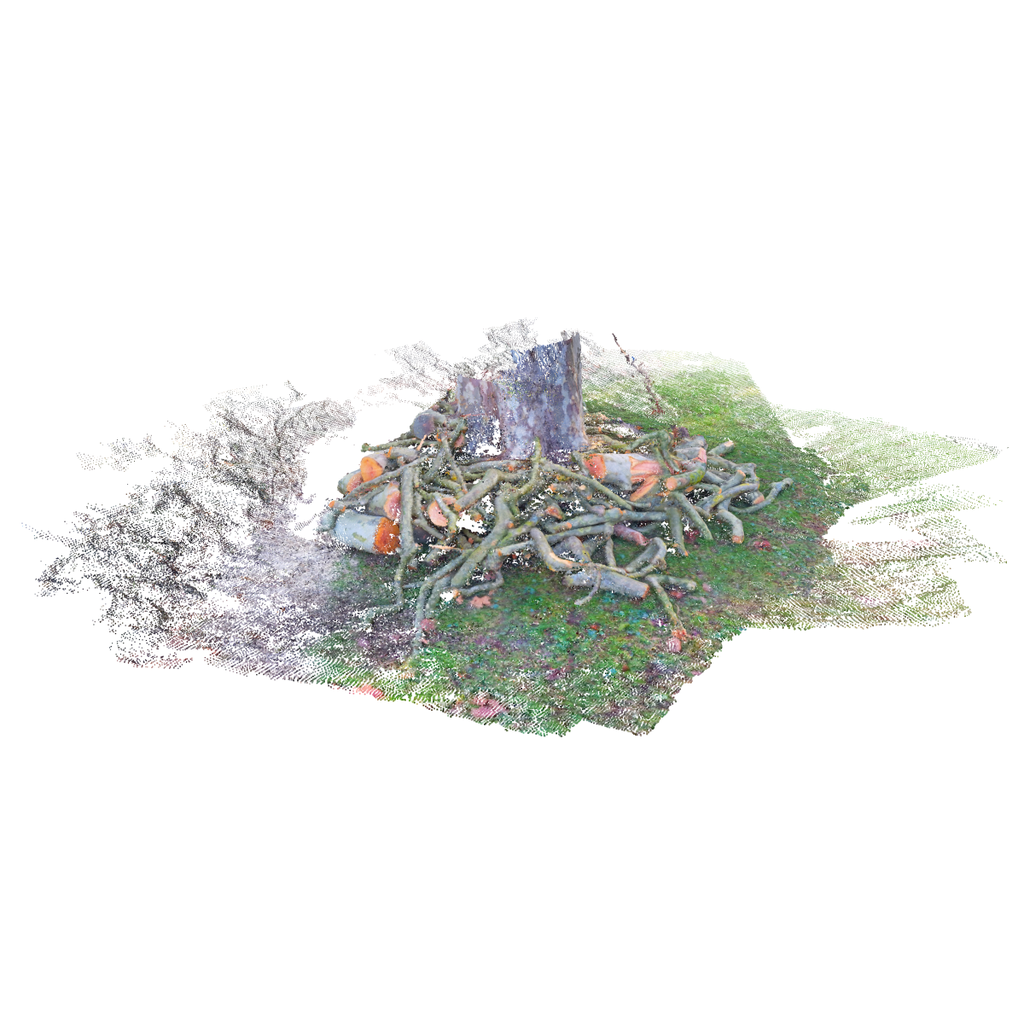 Abattage – Tirage d’art signé par Guilin