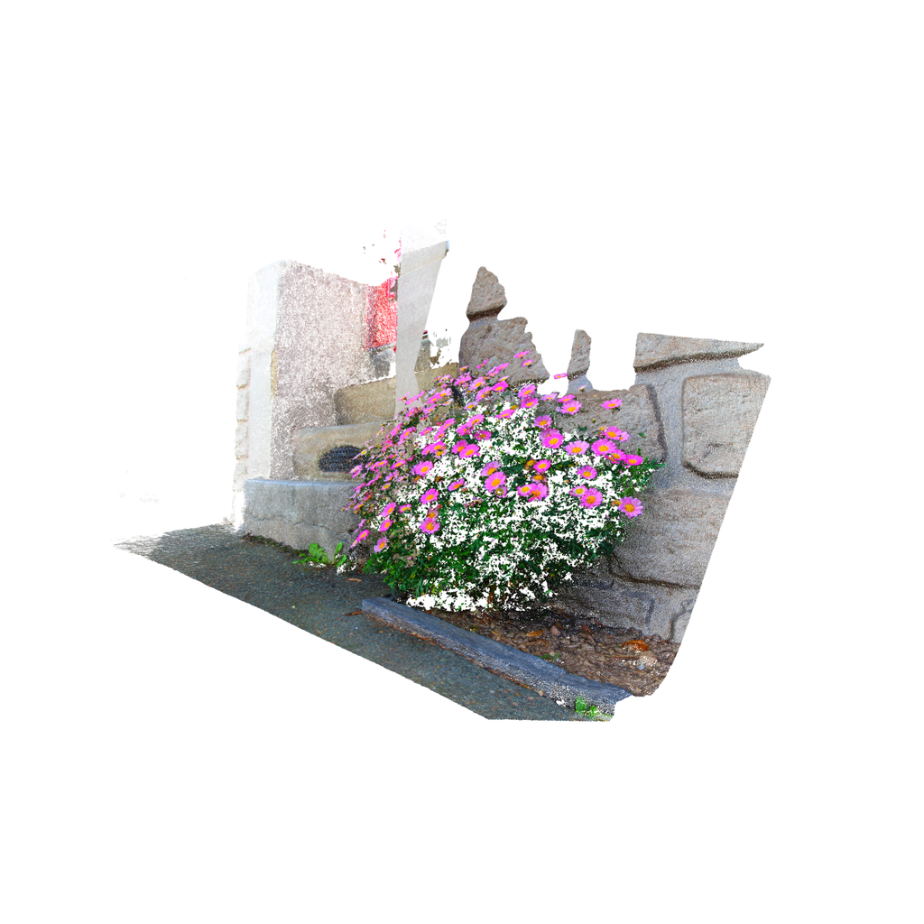 Fleurs de rue – Tirage d’art signé par Guilin